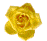 small yellow rose